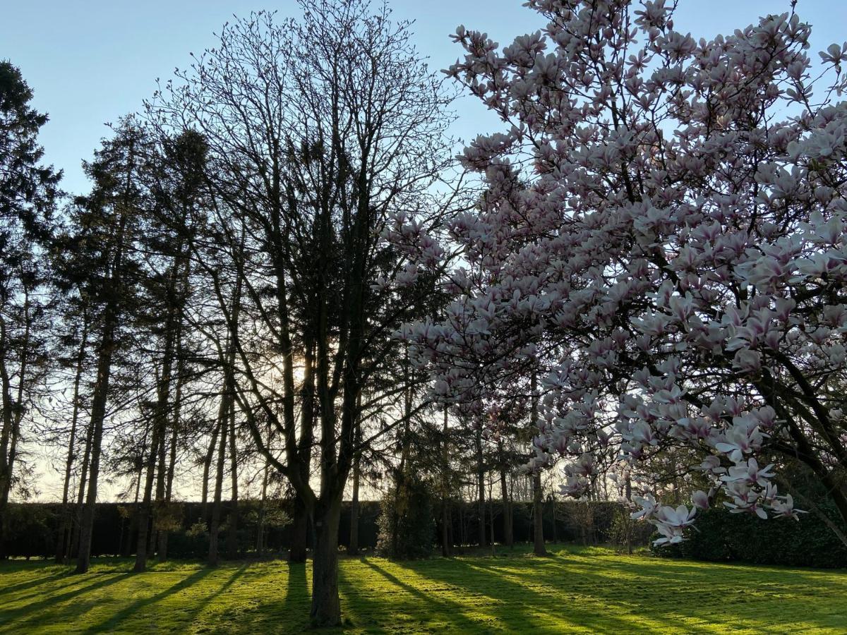 Melindis B&B Jabbeke  Exteriér fotografie
